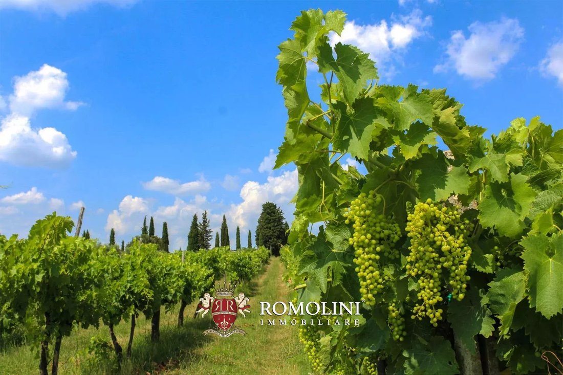 Farm Ranch in Center, Arezzo, Tuscany 5 - 15663523