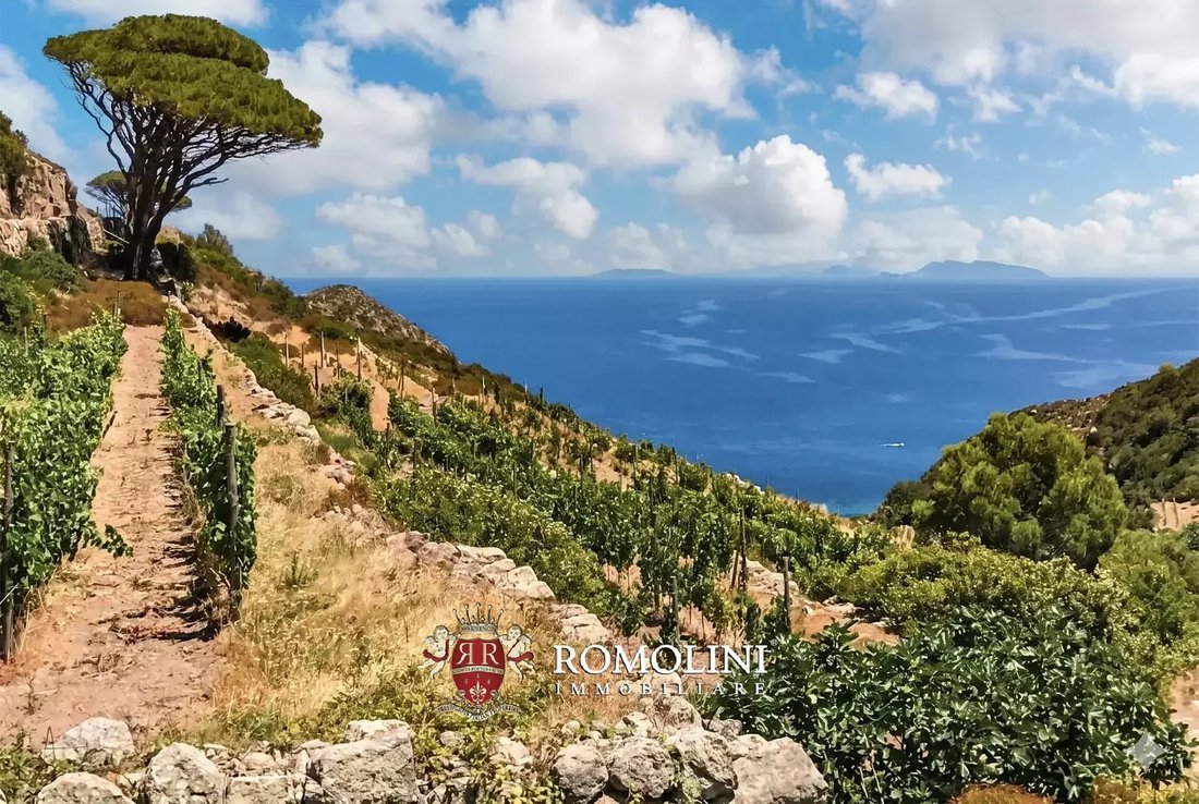 Farm Ranch in Capraia Island, Tuscany, Italy 4 - 17852922