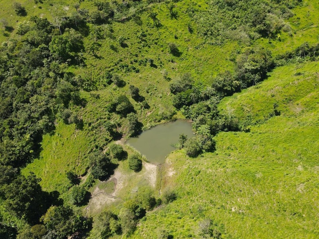 Finca in Uní, Panama, Panama 2 - 18288584