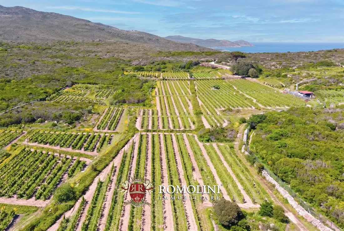 Farm Ranch in Capraia Island, Tuscany, Italy 3 - 17852922