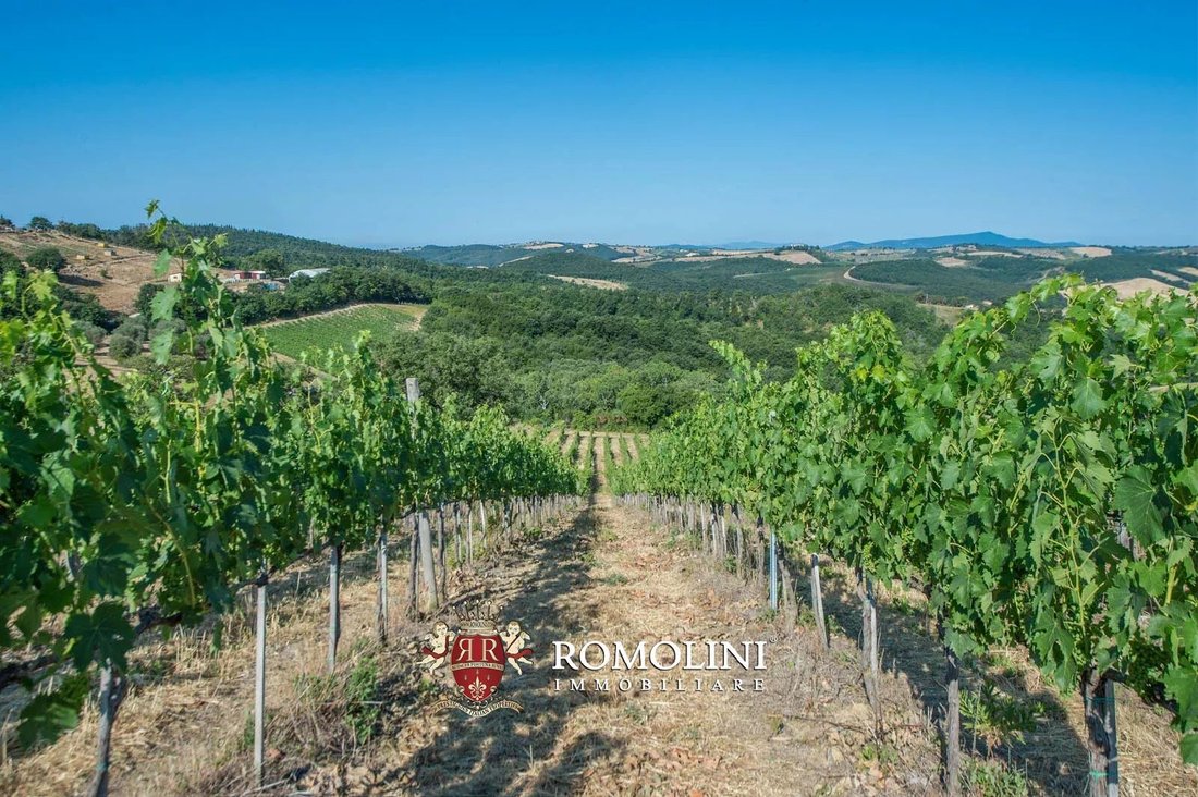 Farm Ranch in Center, Grosseto, Tuscany 4 - 15663524