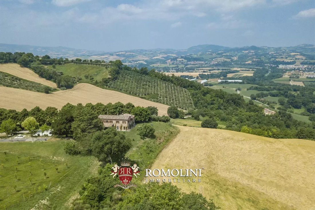 Villa in Terre Roveresche, Marche, Italy 3 - 15984094