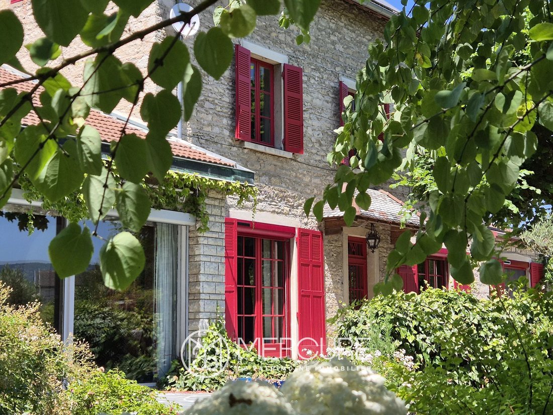 Townhouse in Montalieu-Vercieu, Auvergne-Rhône-Alpes, France 3 - 17302709