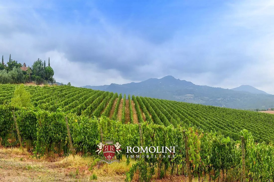 Farm Ranch in Roccastrada, Tuscany, Italy 2 - 15663274