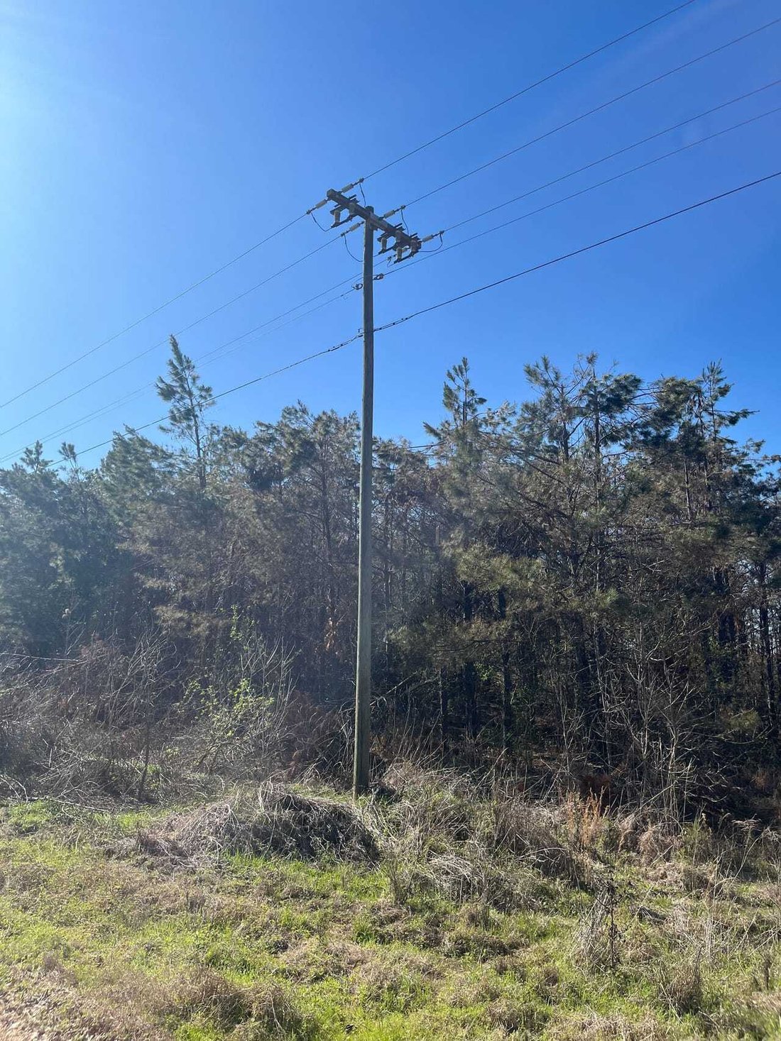 Land in Carrollton, Mississippi, United States 4 - 18280396