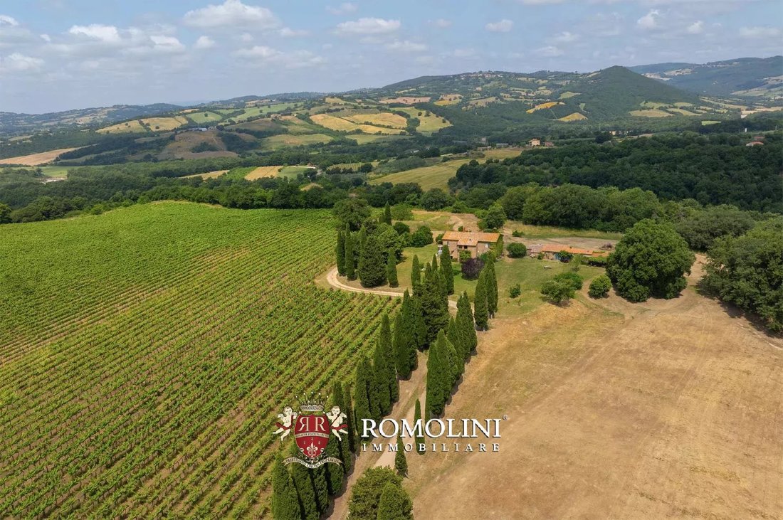 Domaine à Pitigliano, Toscane, Italie 1 - 16164738