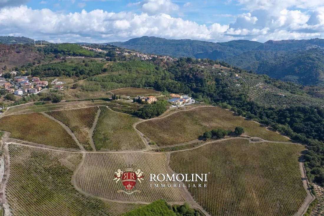 Estate in Nicastro, Lamezia Terme, Calabria 3 - 16742024