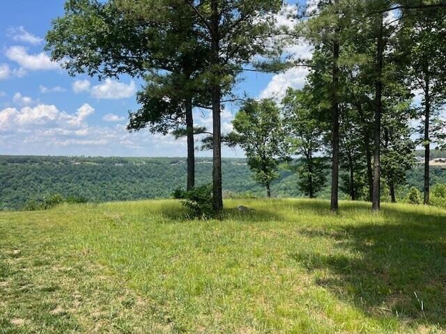 House in South Pittsburg, Tennessee, United States 5 - 18291799