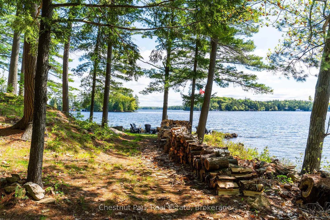 House in Port Carling, Ontario, Canada 5 - 18003977