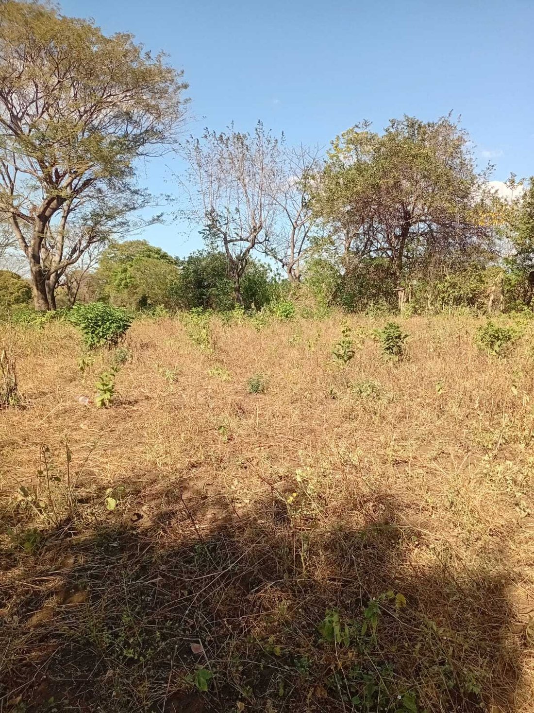 Terrain à Managua, Département de Managua, Nicaragua 2 - 18286192