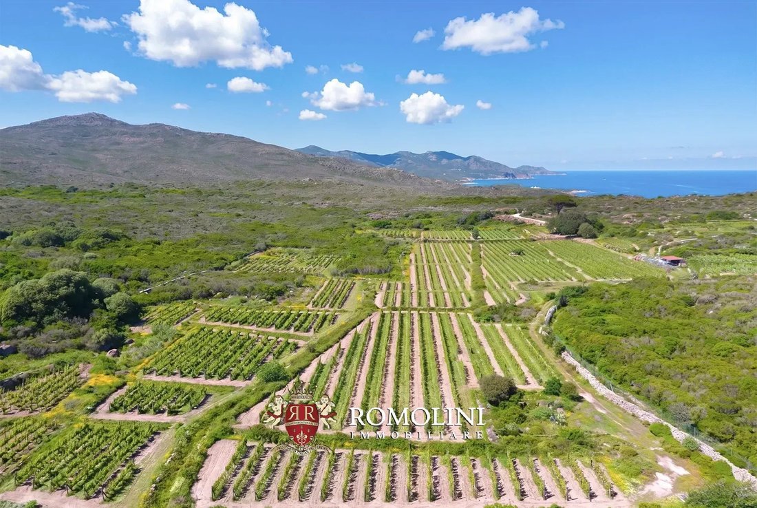 Farm Ranch in Capraia Island, Tuscany, Italy 1 - 17852922