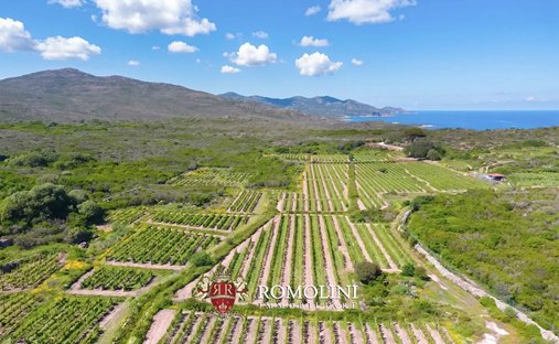 Farm Ranch in Capraia Island, Tuscany, Italy 1