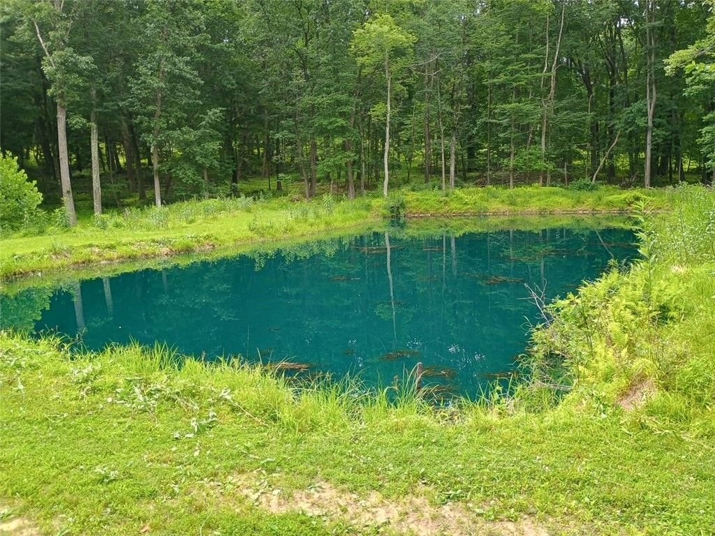 Farm Ranch in Ambridge, Pennsylvania, United States 4 - 18206935