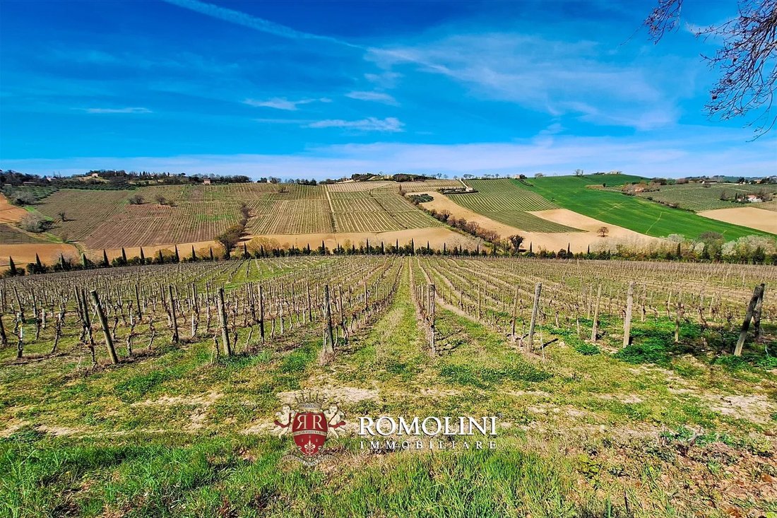 Farm Ranch in Morro d'Alba, Marche, Italy 2 - 18283130