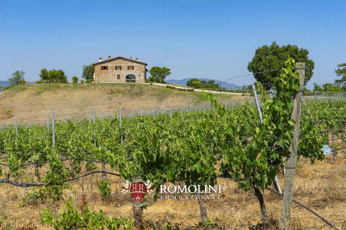 Farm Ranch in Pestello-Ginestra, Montevarchi, Tuscany 3 - 15663396