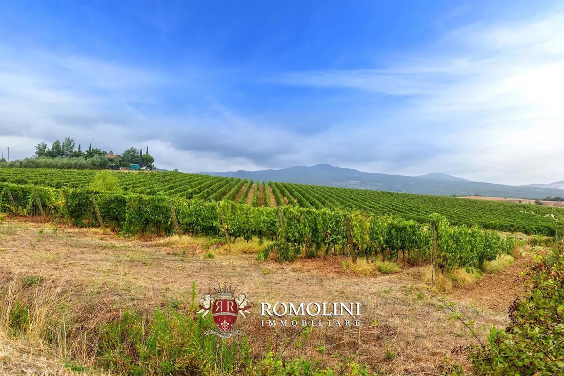 Farm Ranch in Roccastrada, Tuscany, Italy 4 - 15663274