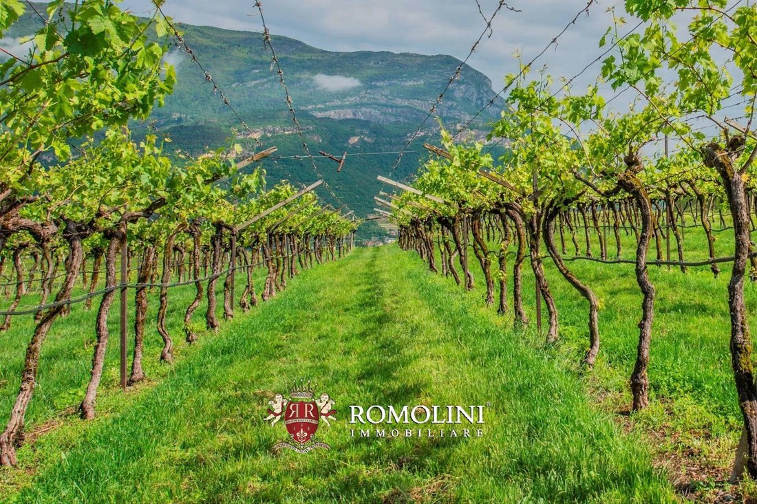 Farm Ranch in South Center, Rovereto, Trentino – Alto Adige/Südtirol 4 - 15663438