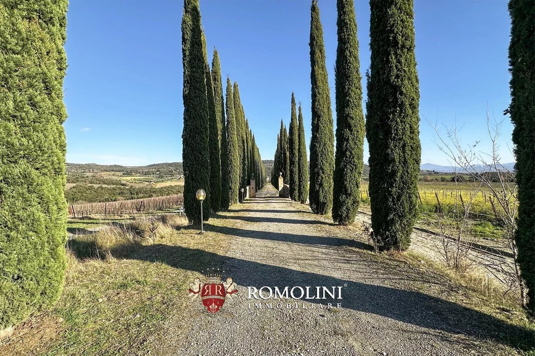 Farm Ranch in Montalcino, Tuscany, Italy 3 - 17348837