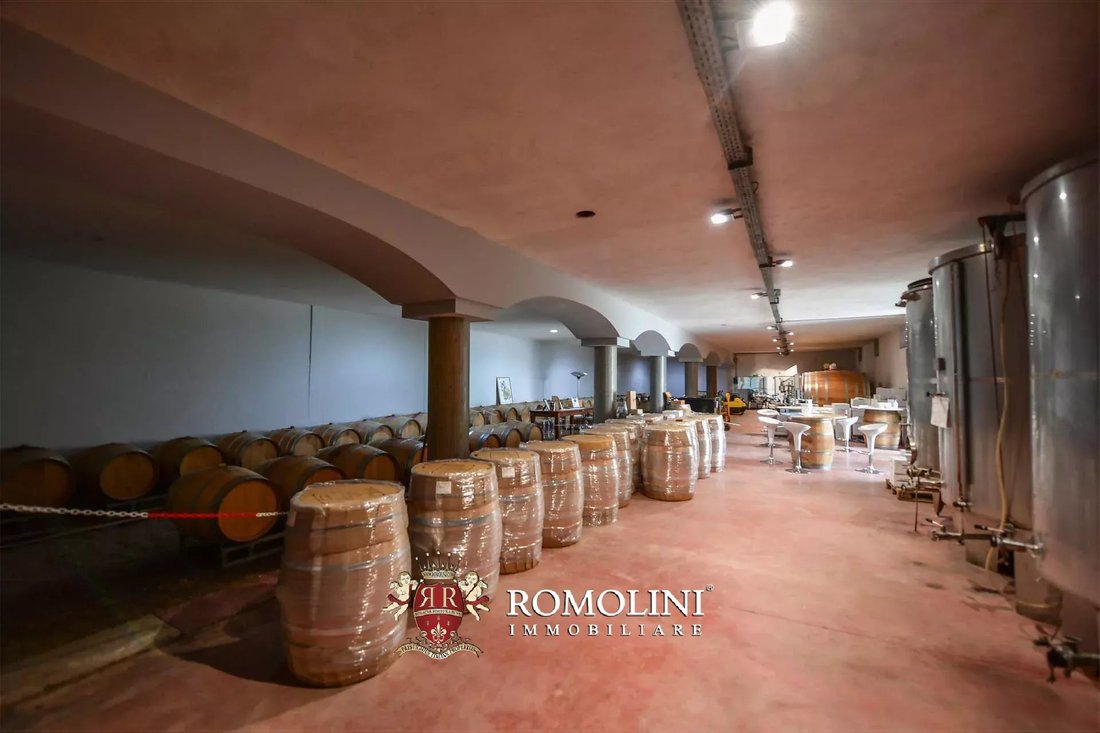 Farm Ranch in Barolo, Piedmont, Piedmont, Italy 1 - 16249472