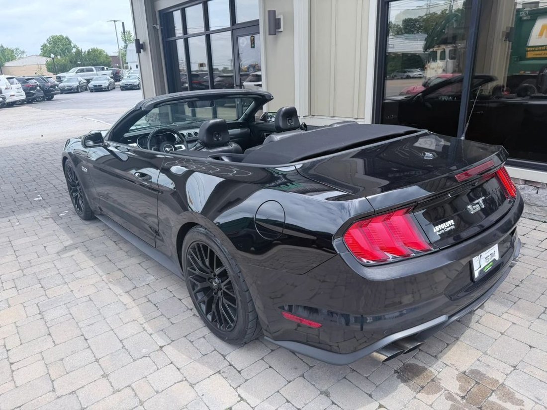 Cabriolet in Murfreesboro, TN, United States 4 - 18292731
