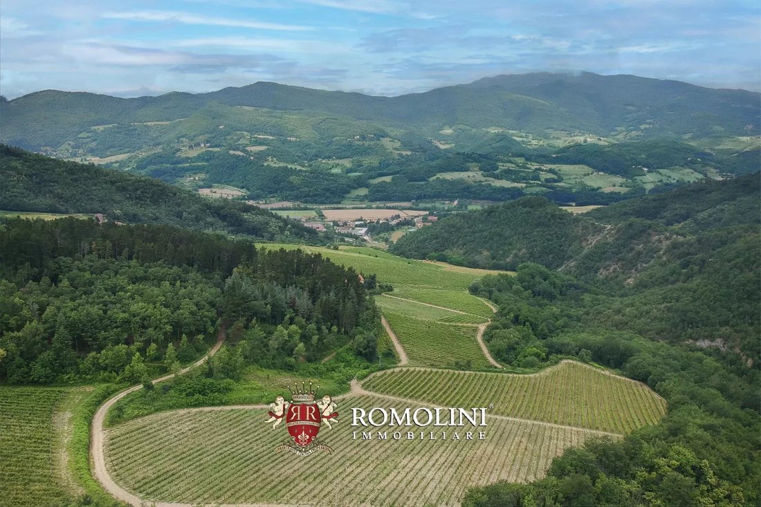Farm Ranch in Dicomano, Tuscany, Italy 2 - 15666587