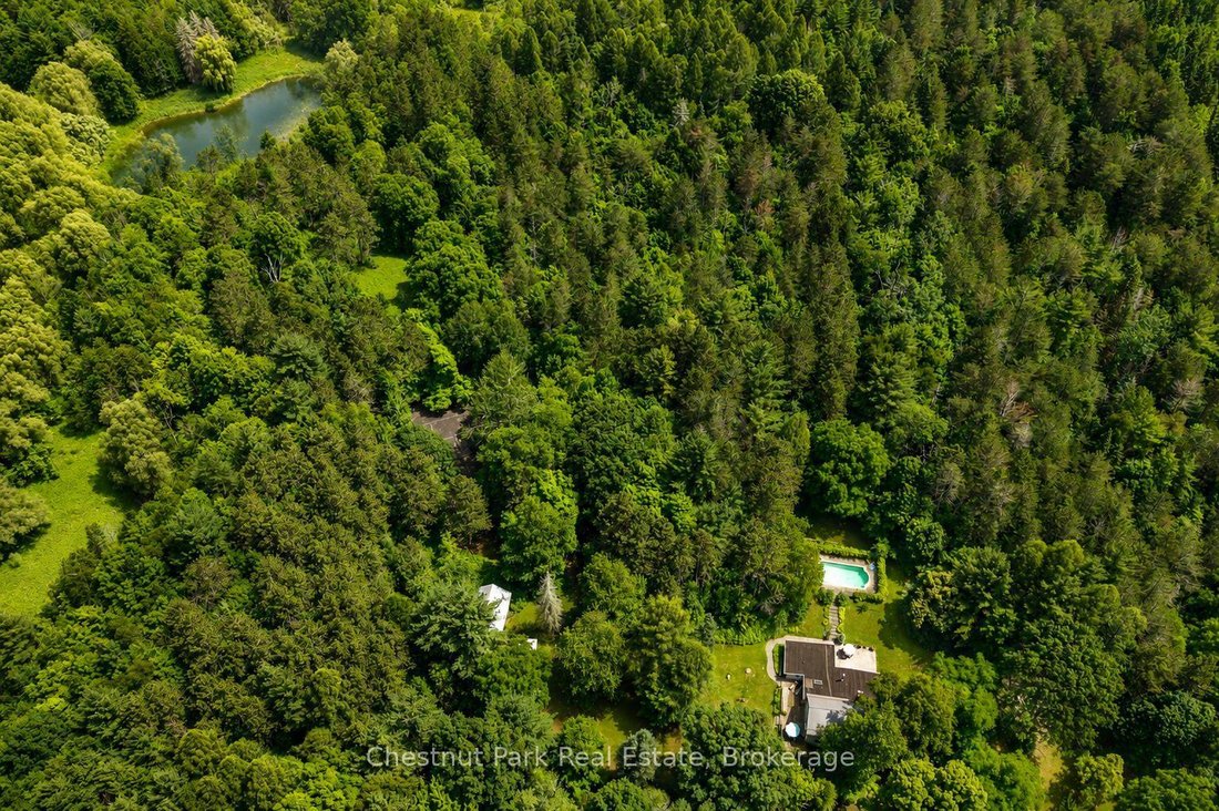 Haus in Mulmur, Ontario, Kanada 4 - 18034555