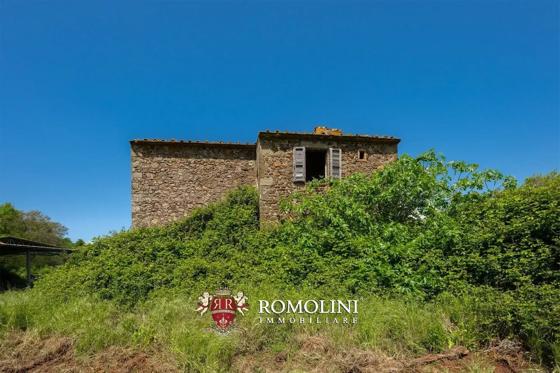 Estate in Pitigliano, Tuscany, Italy 4 - 16220985