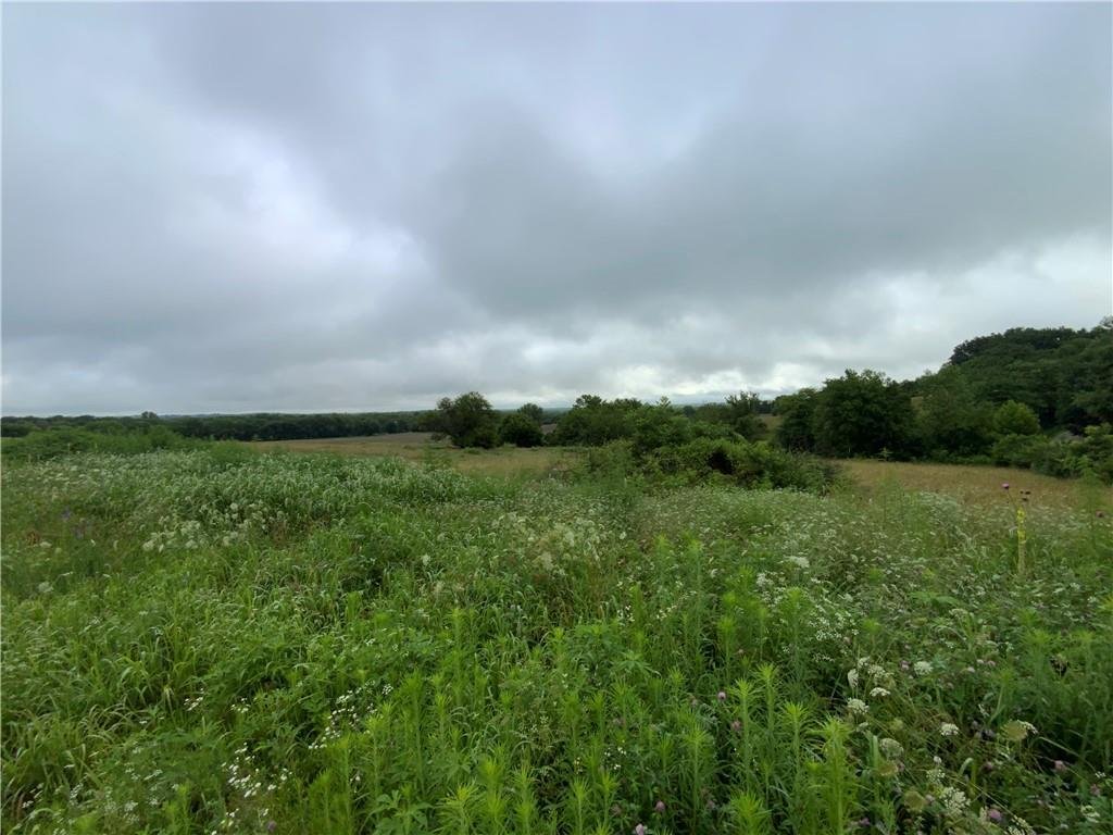 Linwood, Kansas, United States 4 - 18282583