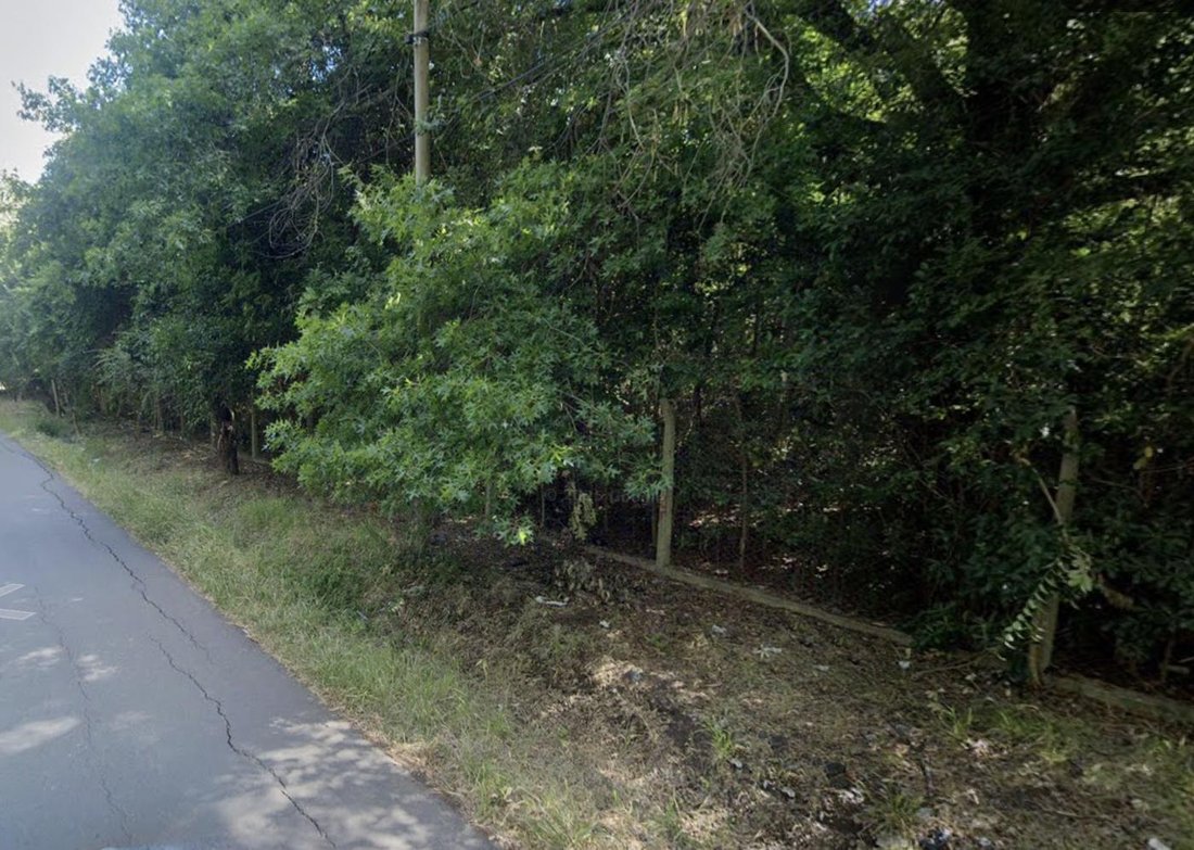 Land in Tigre, Buenos Aires Province, Argentina 5 - 18295553