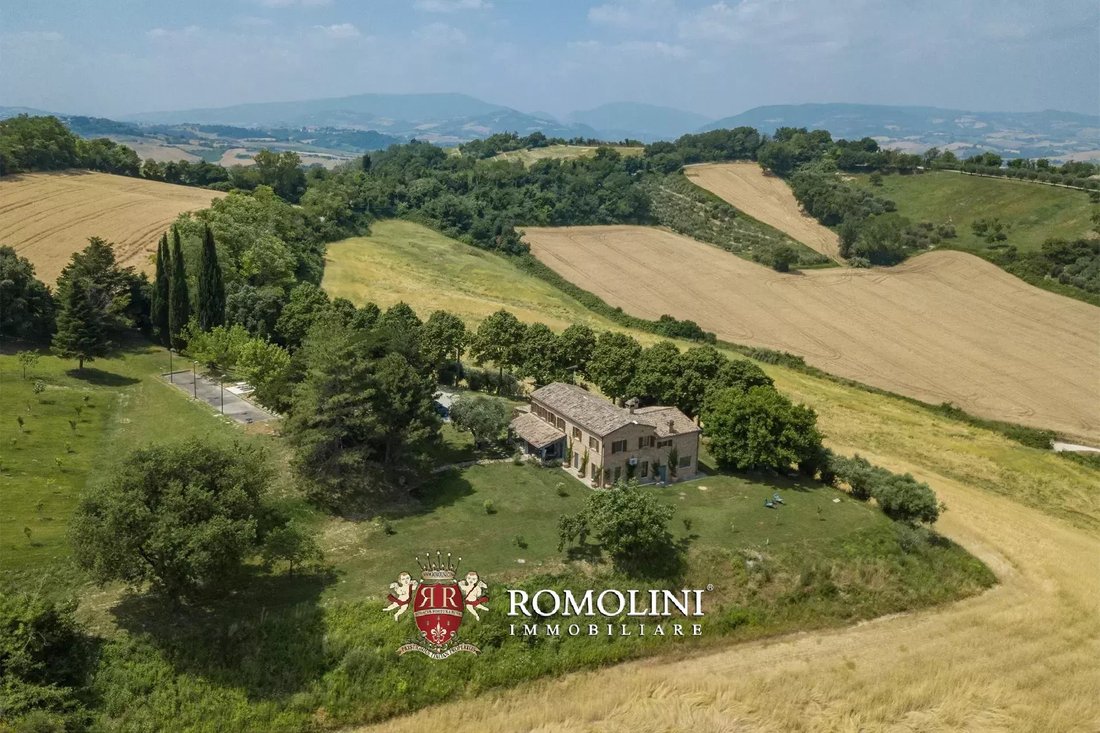 Villa in Terre Roveresche, Marche, Italy 4 - 15984094