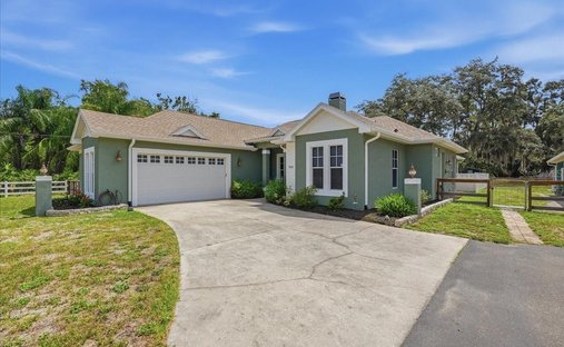 House in Odessa, Florida, United States 1