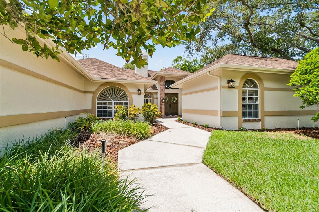 House in Lutz, Florida, United States 3 - 18283983
