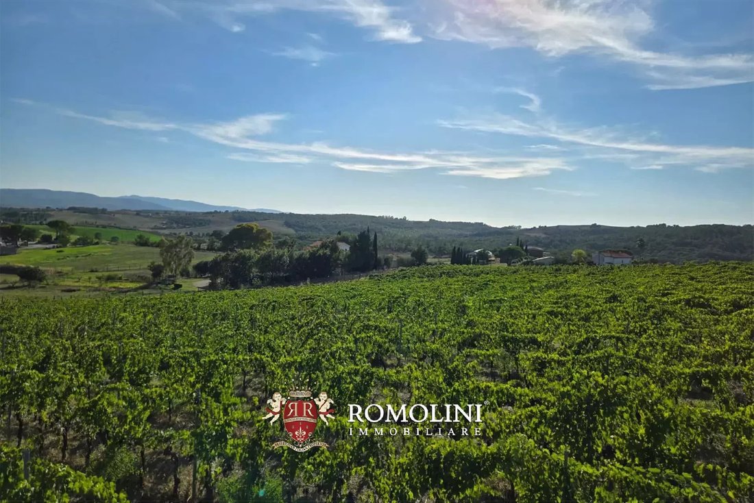 Farm Ranch in Magliano in Toscana, Tuscany, Italy 5 - 16474573