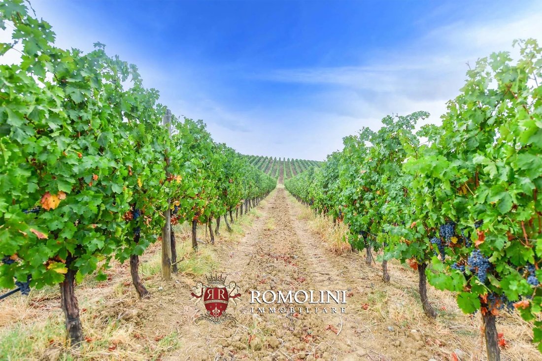Farm Ranch in Civitella Marittima, Tuscany, Italy 2 - 15663275