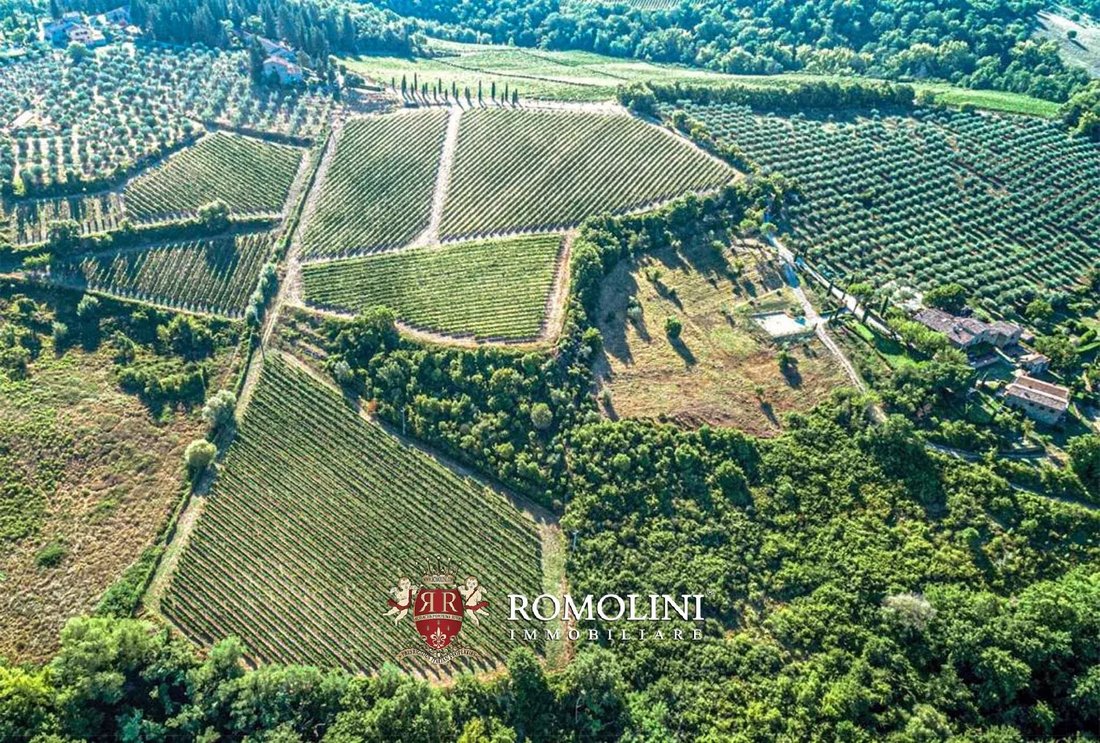 Farm Ranch in Montefioralle, Greve in Chianti, Tuscany 4 - 15663271