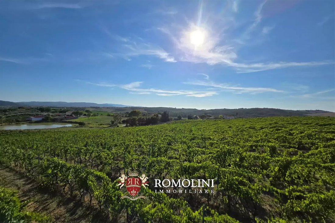 Farm Ranch in Magliano in Toscana, Tuscany, Italy 3 - 16474573