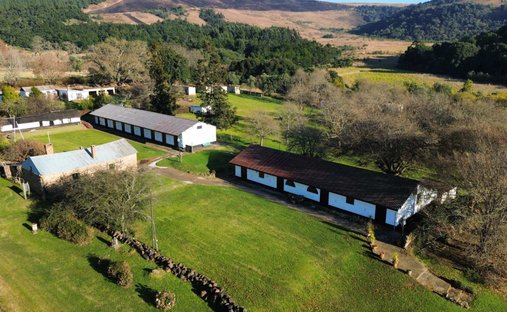 Farm Ranch in Howick, KwaZulu-Natal, South Africa 1