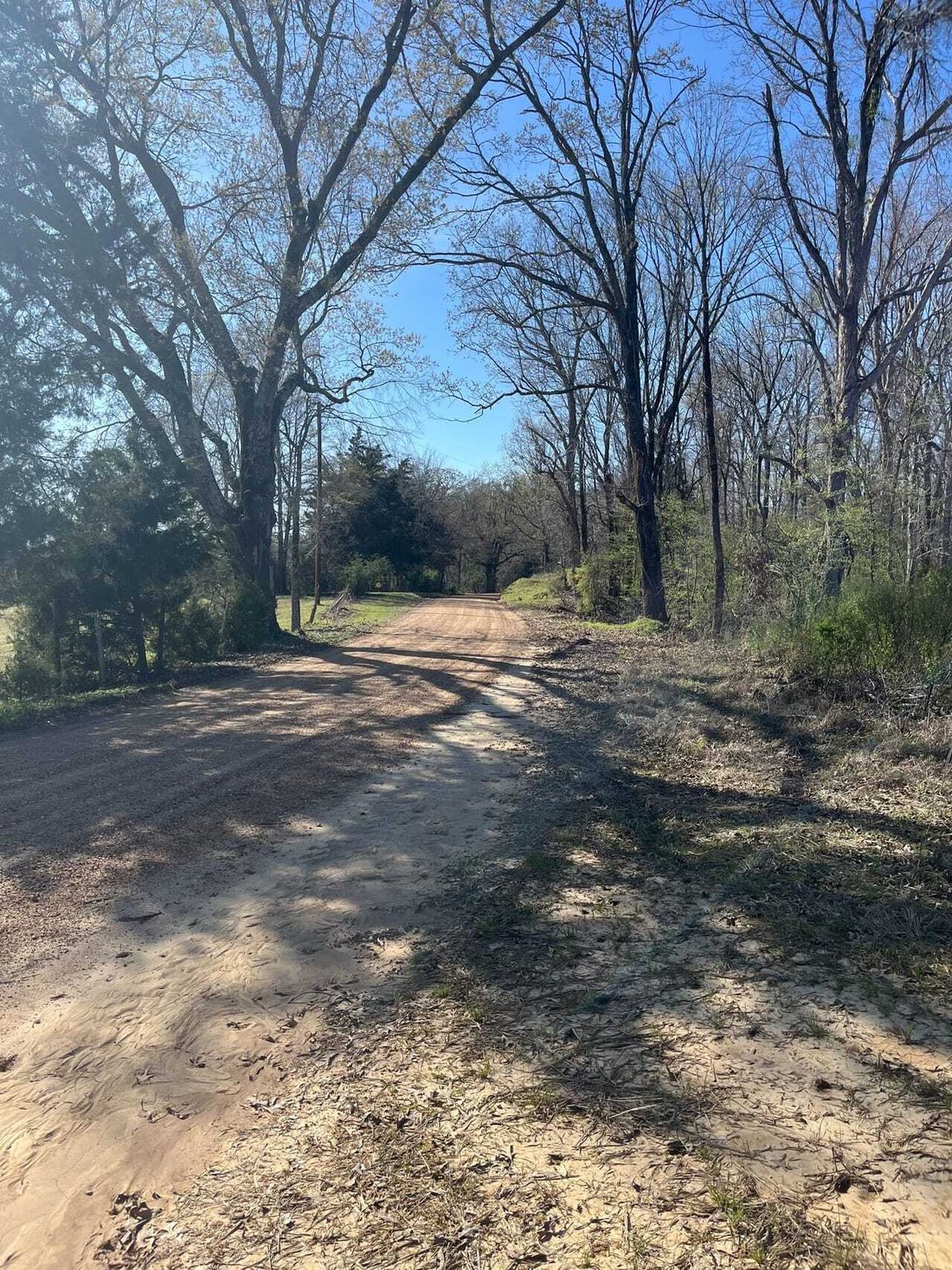 Land in Carrollton, Mississippi, United States 2 - 18280396
