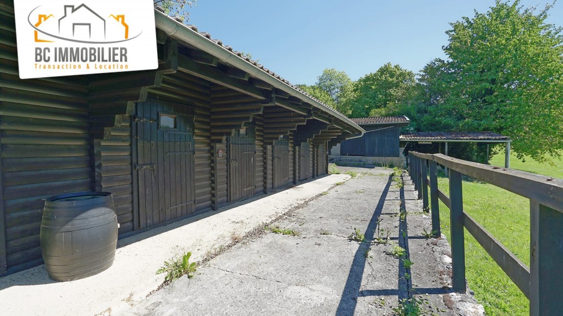 Chalet in Grilly, Auvergne-Rhône-Alpes, France 5 - 18296302