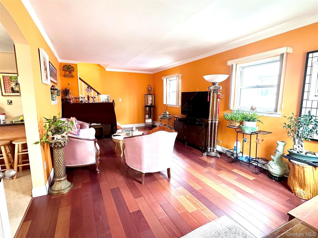 House in New York, New York, United States 4 - 17771241