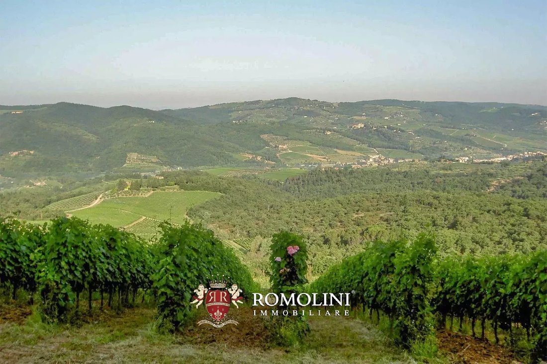Estate in Center, Greve in Chianti, Tuscany 3 - 17381763