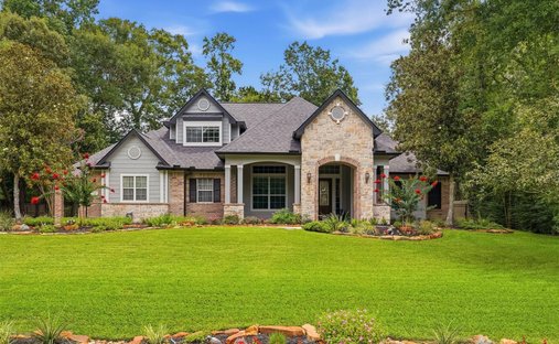 House in Conroe, Texas, United States 1