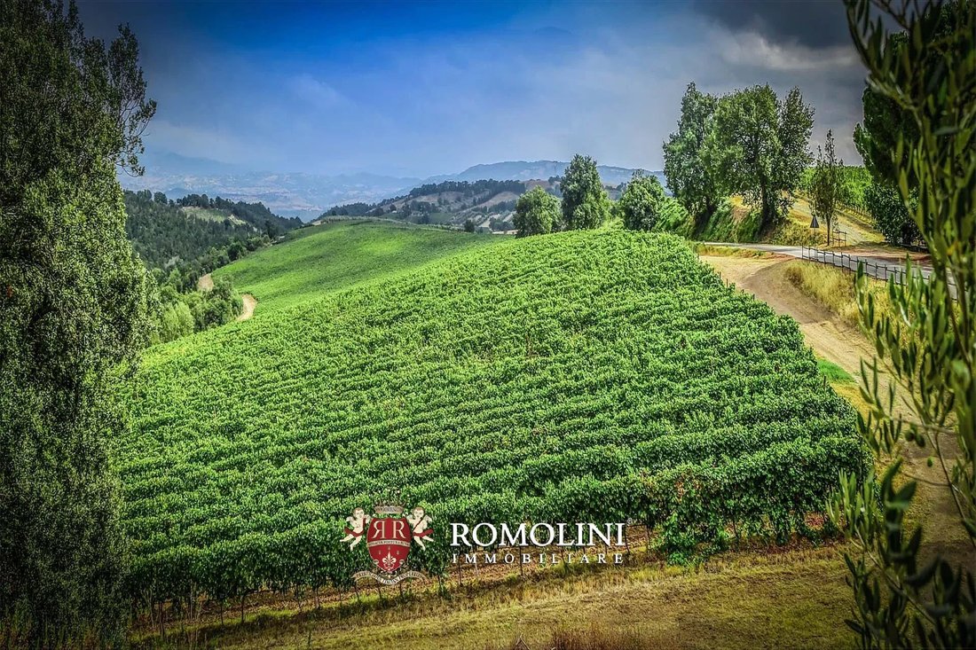 Farm Ranch in Civitella Marittima, Tuscany, Italy 1 - 15663275