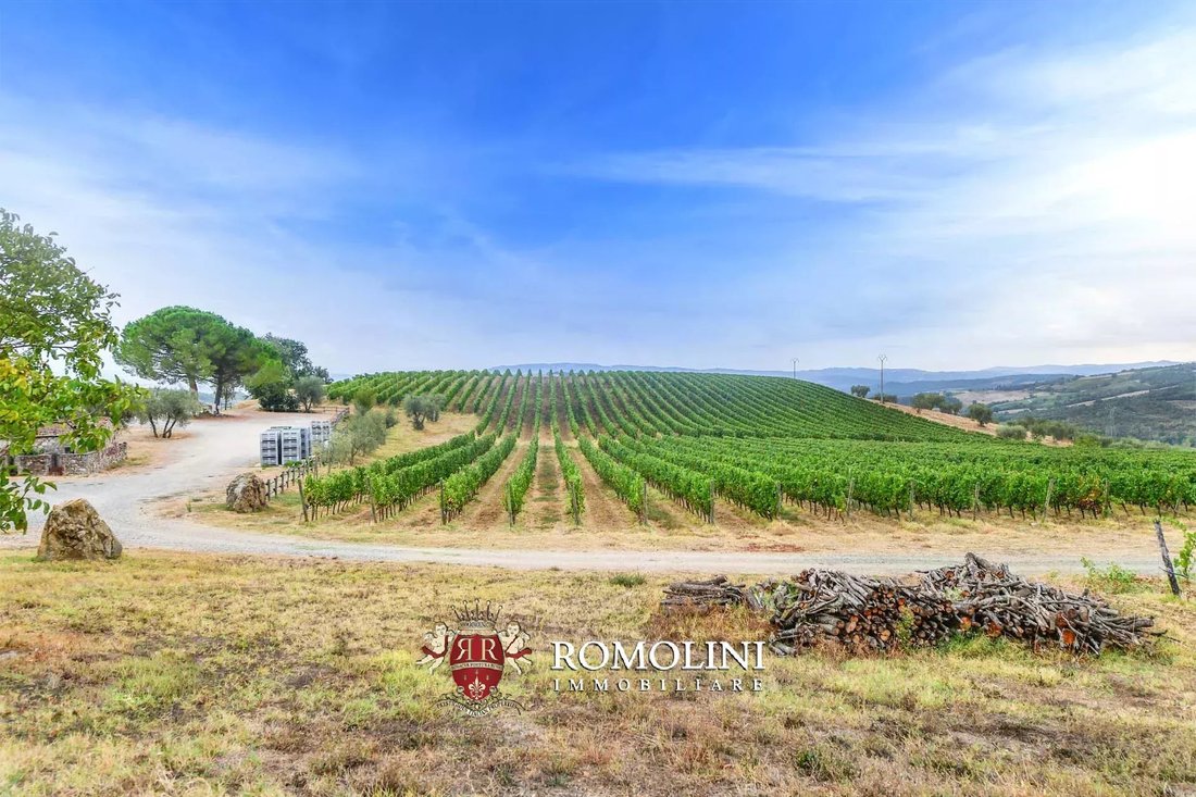 Farm Ranch in Civitella Marittima, Tuscany, Italy 4 - 15663275