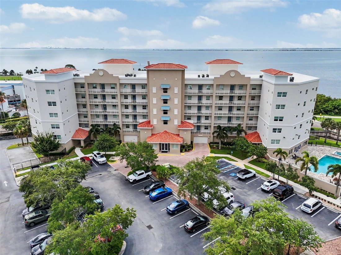 Condo in Safety Harbor, Florida, United States 1 - 18292116