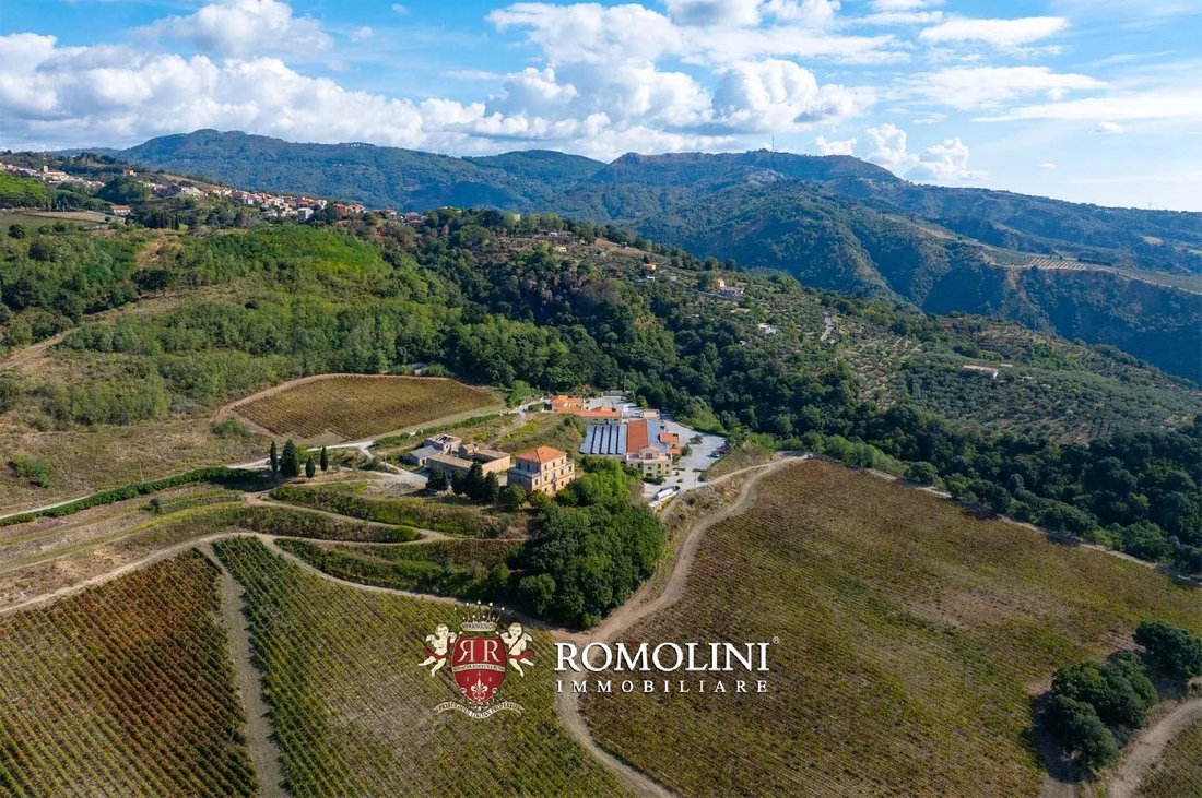 Estate in Nicastro, Lamezia Terme, Calabria 4 - 16742024
