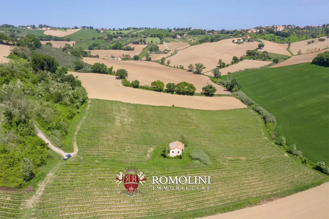 Farm Ranch in Historic Center, Senigallia, Marche 5 - 17727068