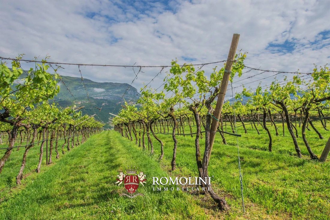 Farm Ranch in South Center, Rovereto, Trentino – Alto Adige/Südtirol 5 - 15663438
