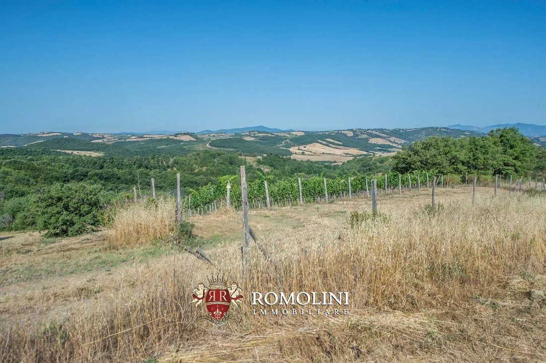 Farm Ranch in Center, Grosseto, Tuscany 5 - 15663524
