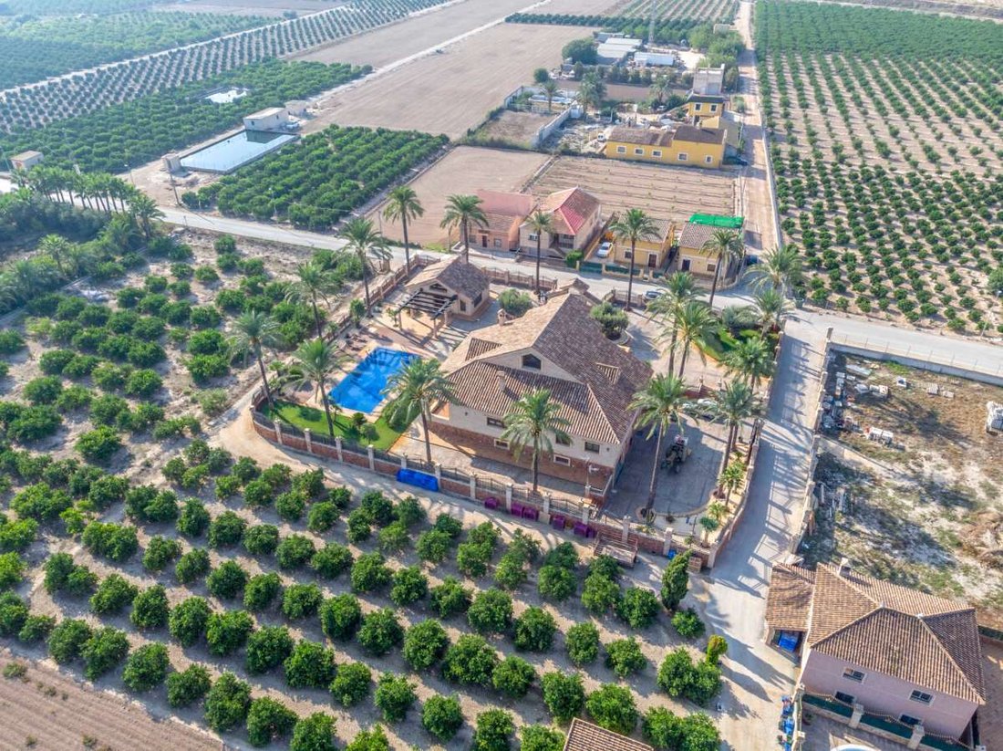 Villa in Orihuela, Valencian Community, Spain 5 - 18286930